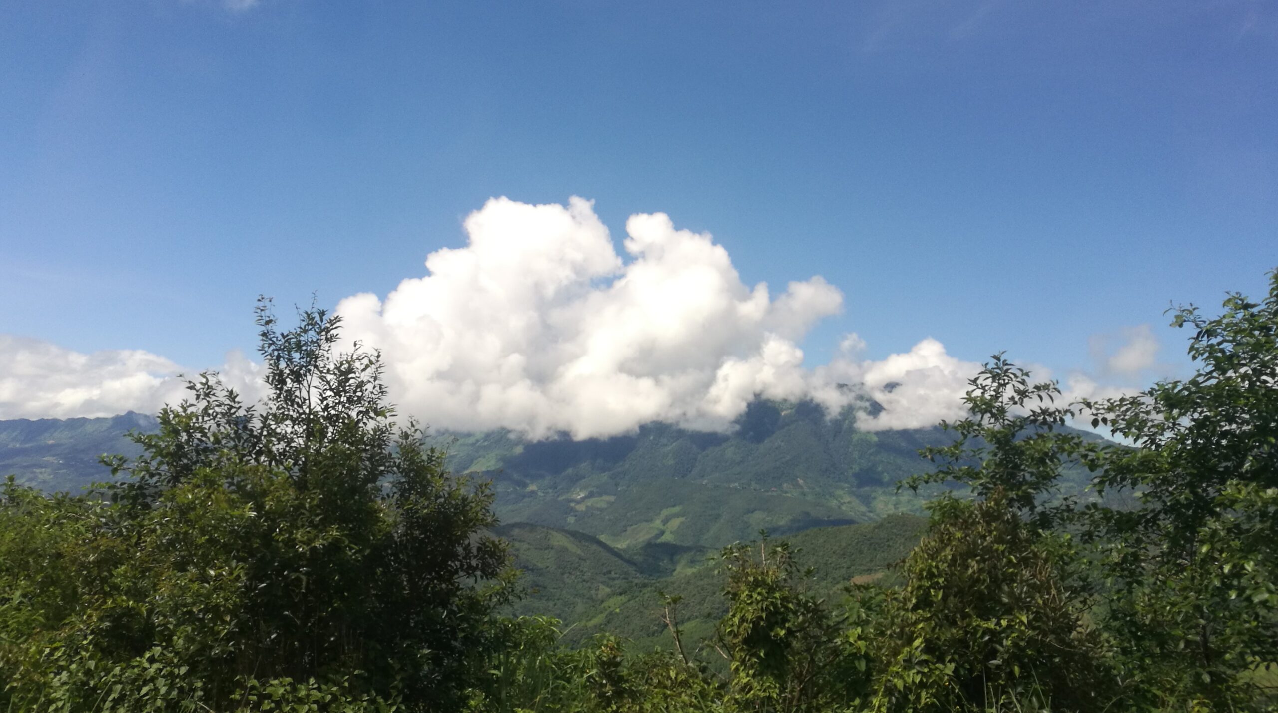 Leilung pi in minung pawl ih thu kha a lo zirh ding